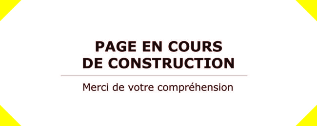 Page en construction – Espace Quintane