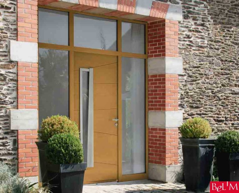 Portes d'entrée BOIS